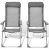 Foldable Adjustable Camping Chairs Aluminum Set of 2